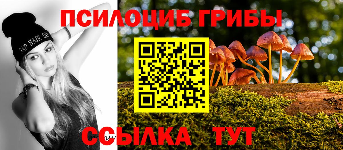 Чебоксары  Псилоцибиновые грибы Psilocybe  закладка  Галлюциногенные грибы Psilocybine cubensis  Вход с VPN 